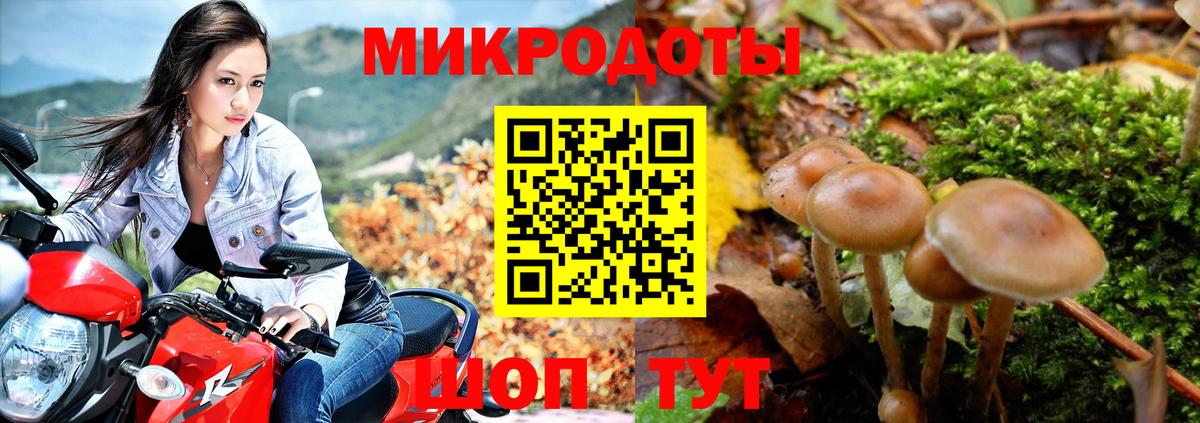 купить наркоту  Вход с VPN  Псилоцибиновые грибы GOLDEN TEACHER  Нижнекамск  Галлюциногенные грибы Psilocybe 